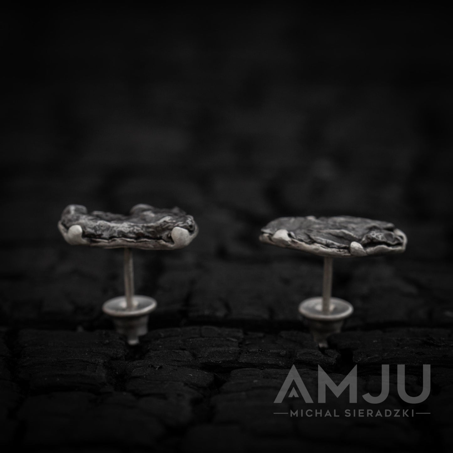 Sikhote Alin meteorite earrings