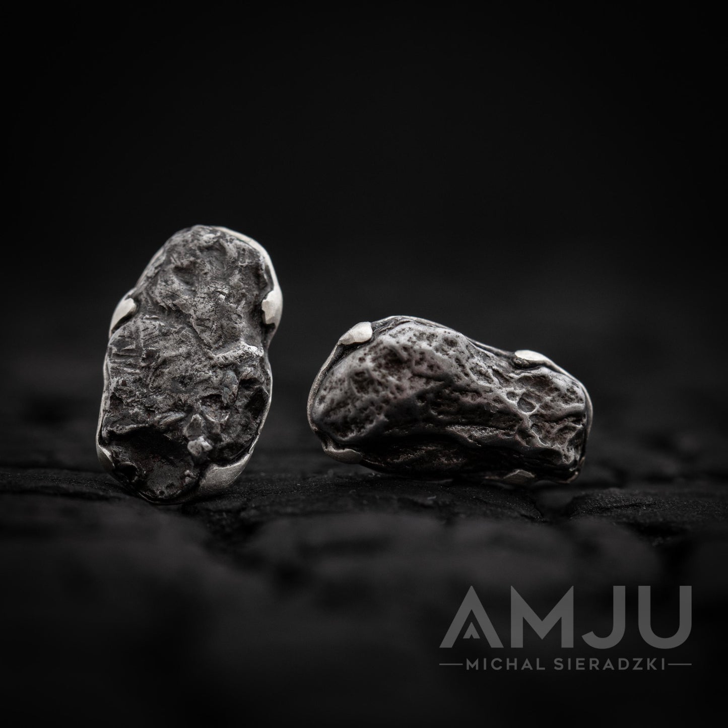Sikhote Alin meteorite earrings