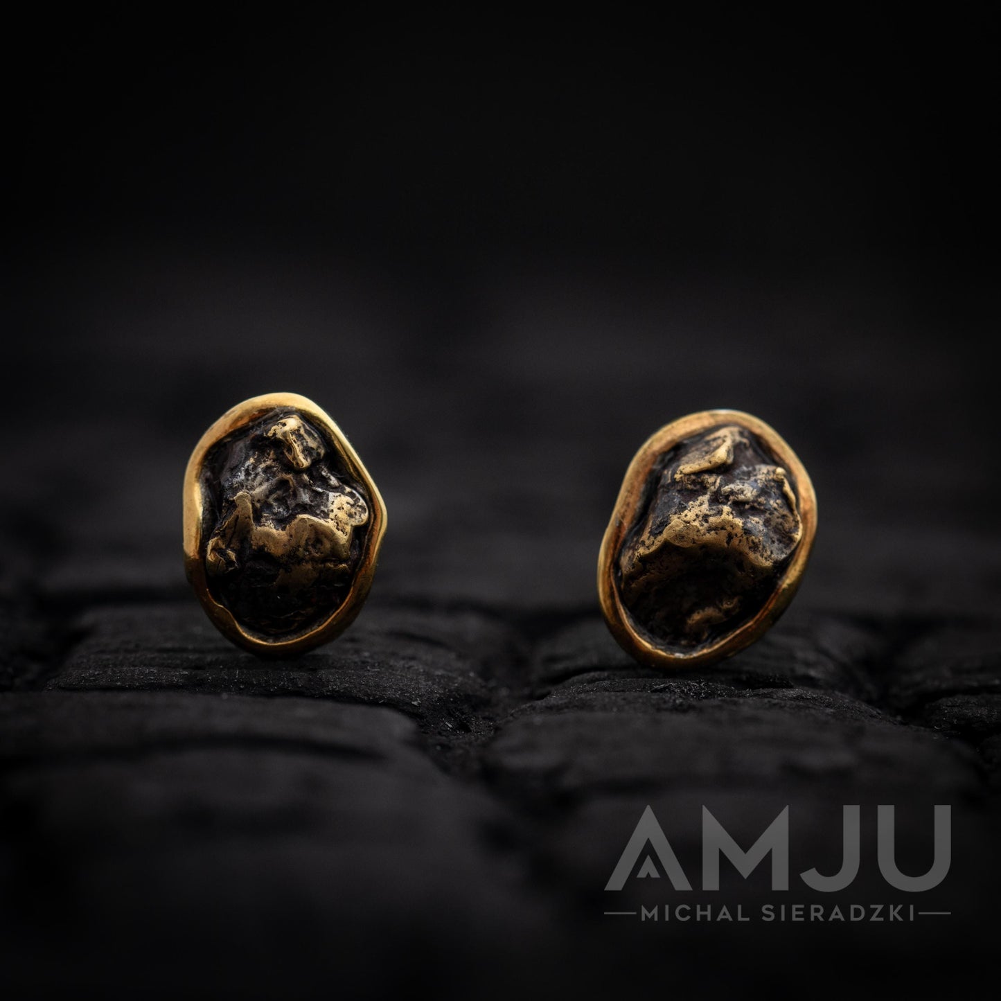 Sikhote Alin meteorite earrings
