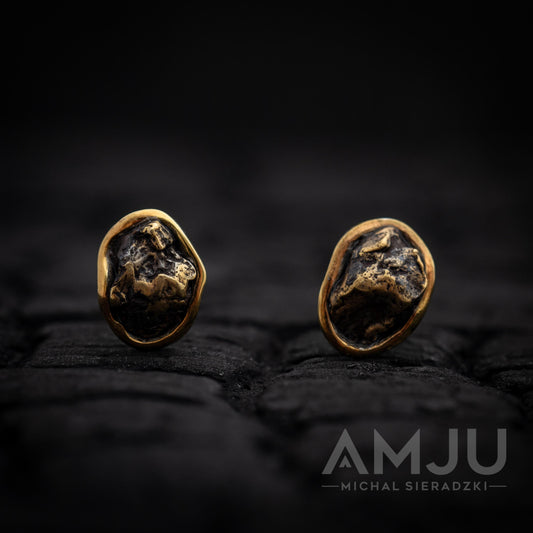 Sikhote Alin meteorite earrings