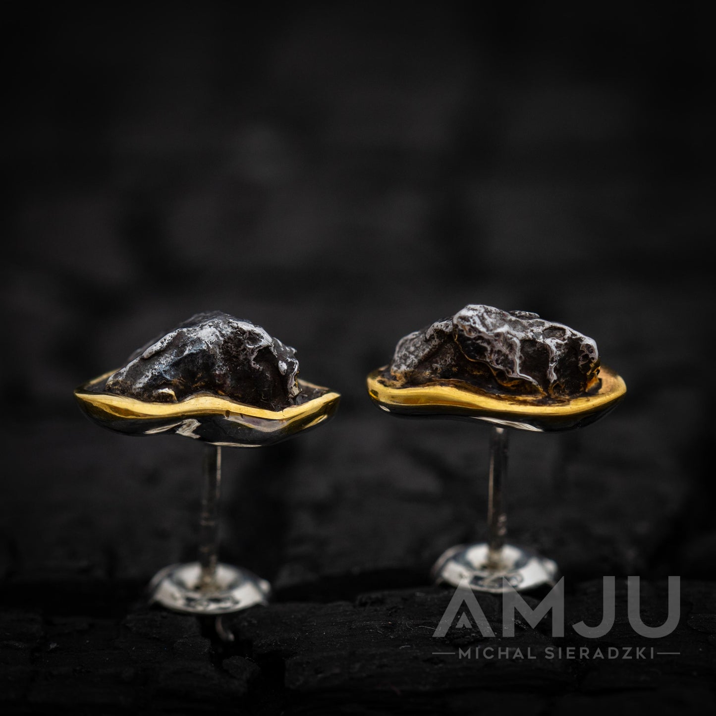 Sikhote Alin meteorite earrings