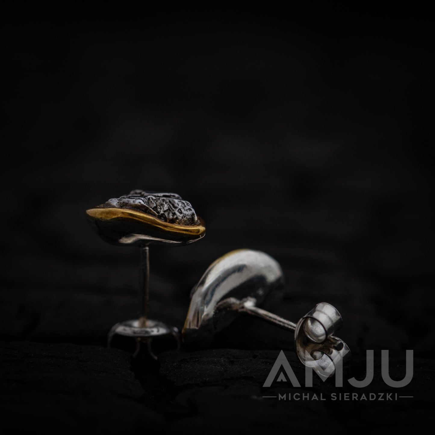 Campo del Cielo Meteorite earrings