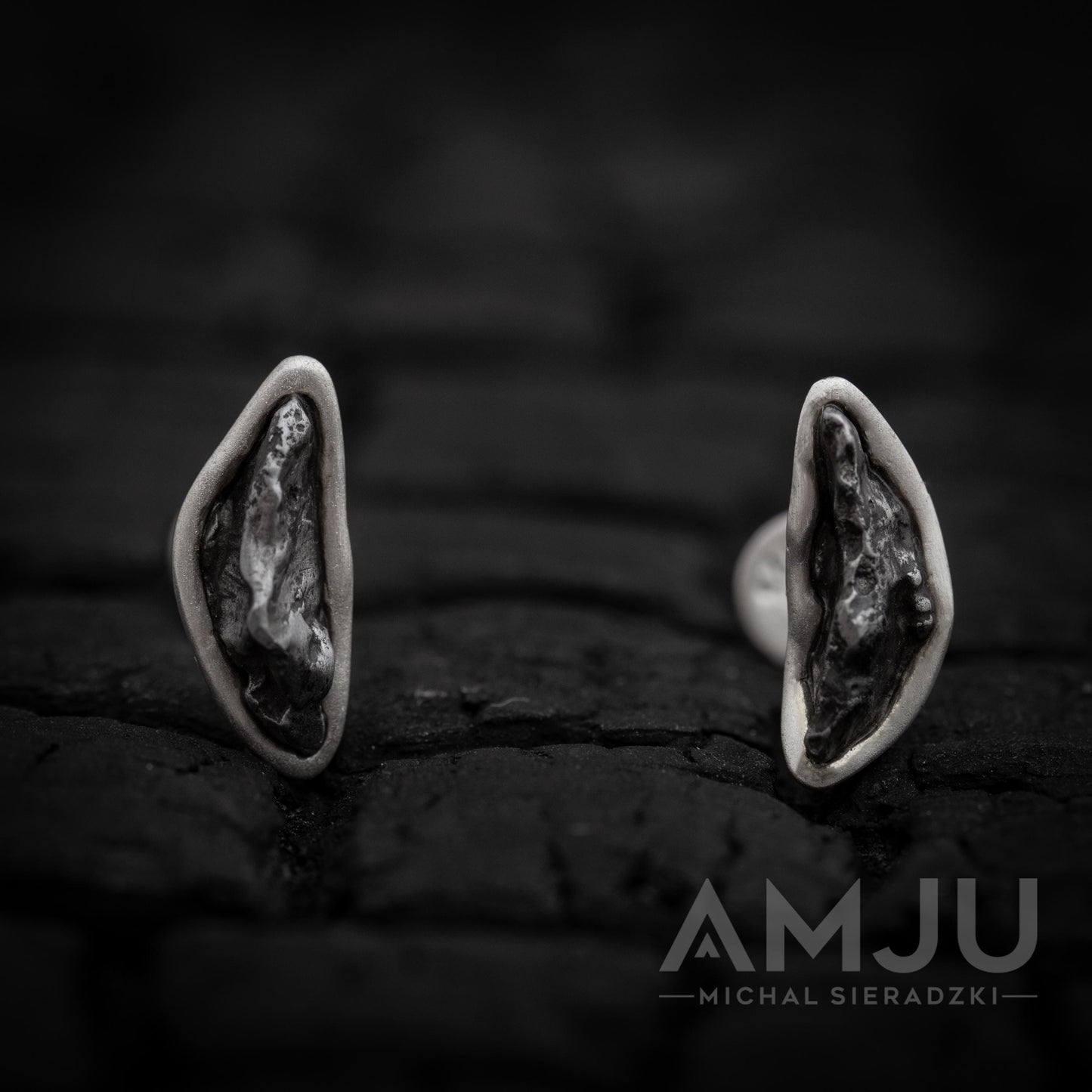 Sikhote Alin meteorite earrings