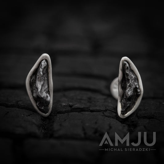 Sikhote Alin meteorite earrings