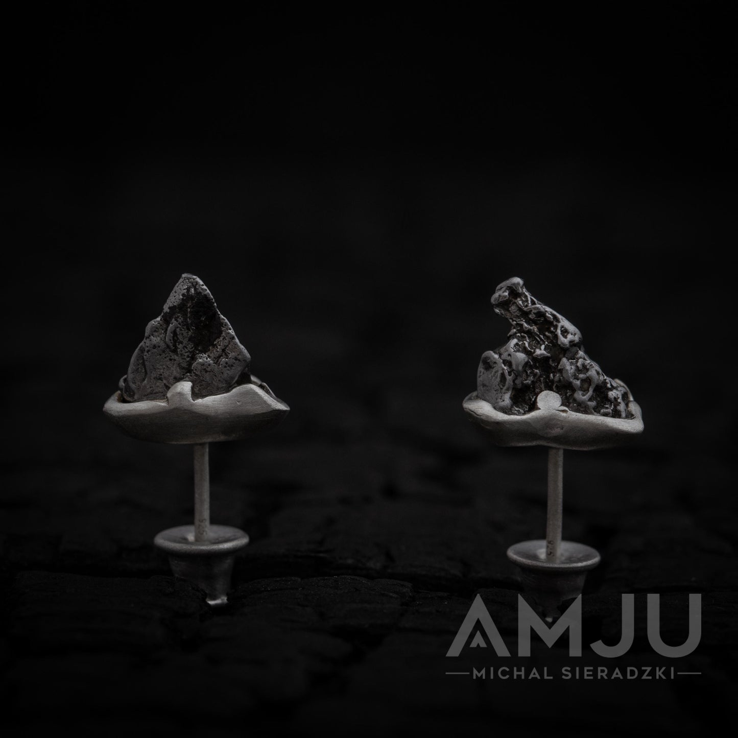 Mountains of Campo del Cielo Meteorite earrings