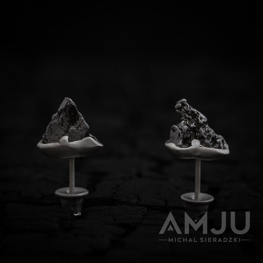 Mountains of Campo del Cielo Meteorite earrings